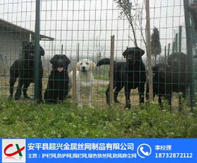 超興荷蘭網 圖 園林鐵絲網